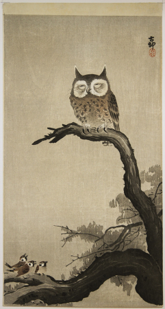 E363_Koson_web.jpg