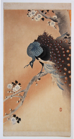 F205_Koson_web.jpg