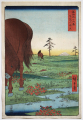 G318_Hiroshige_web.jpg
