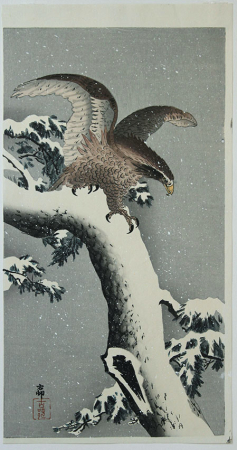 B015_Koson_web.jpg