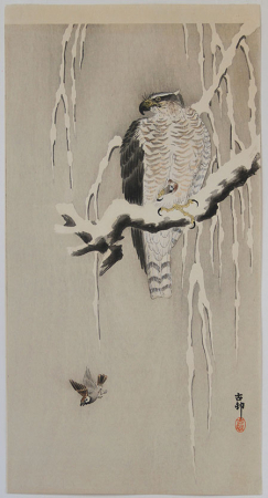 B028_Koson_web.jpg