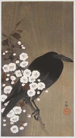J001_Koson_web.jpg