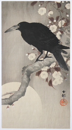G063_Koson_web.jpg