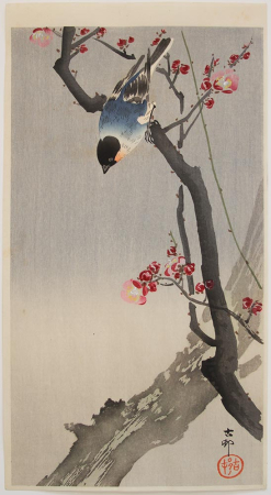 J291_Koson_web.jpg