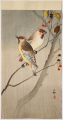 J473_Koson_web.jpg