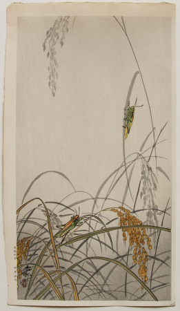 J456_Koson_web.jpg