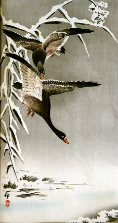 Koson_Flying_geese_B025b_web.jpg