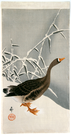 Koson_goose_reeds_B025a_web5.jpg