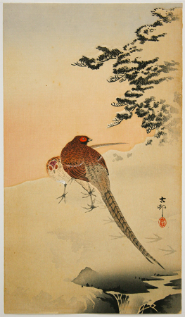 B021_Koson_web.jpg